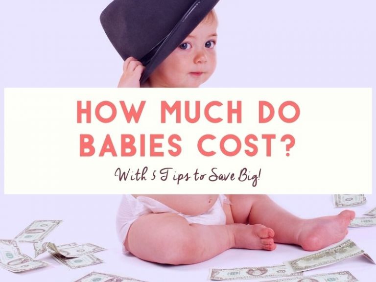 how-much-do-babies-cost-make-the-numbers-work-babiesforbeginners